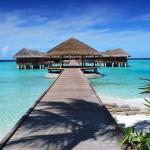 International high end escorts - part 2