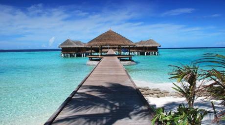 Internationale high end escorts - deel 2