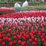 Romantic spots in The Netherlands