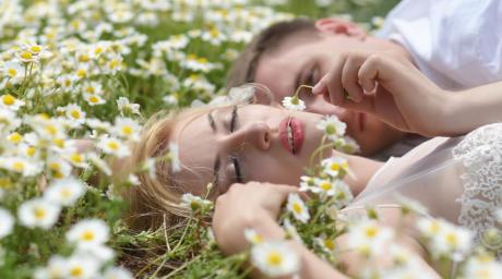 Waarom mag ik geen nieuwe escorts boeken?