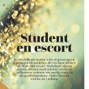 De Limburger, L Magazine / article image 3