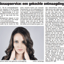 NWS Net Zwolle / article image 1